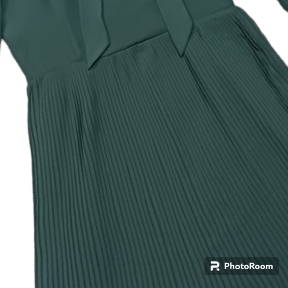 Shabby Apple by Janica Animalia Accordion Pleat Midi Dress - Picture 7 of 12